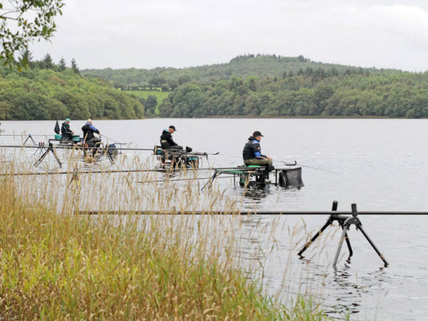 2017 World Pairs, Ireland