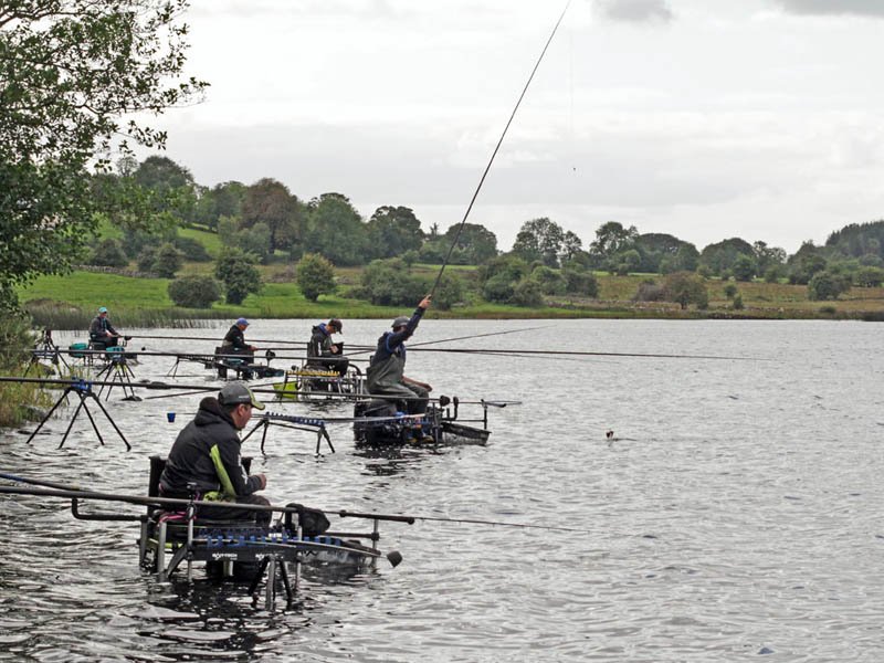 2018 World Pairs Championships, Ireland