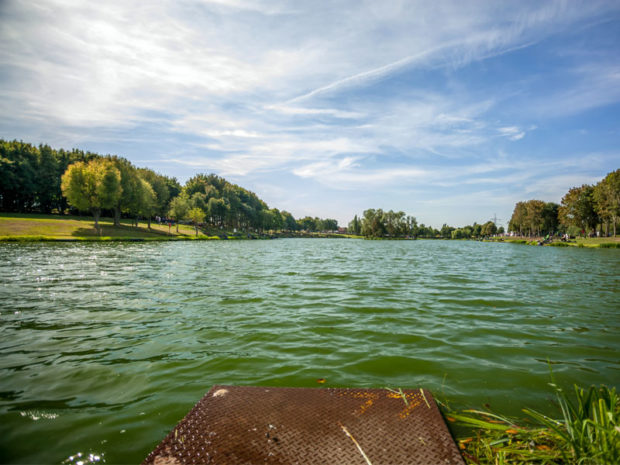 Maver Hayfield Lakes - the best stillwater in the country