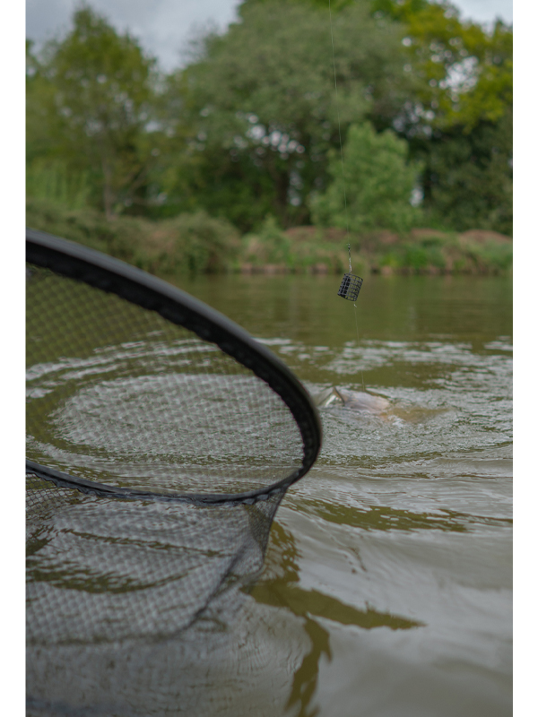 cage feeders 7