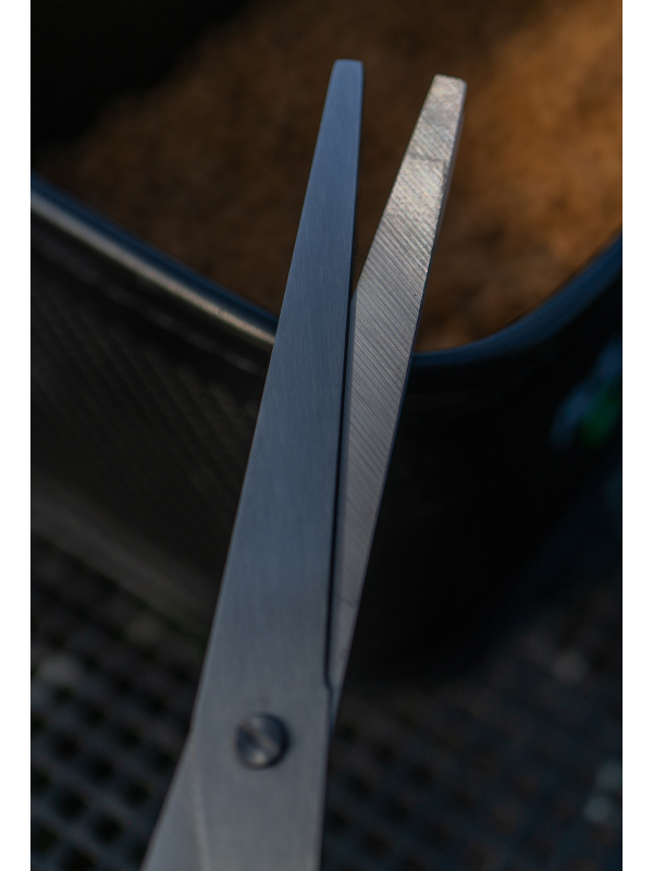 worm scissors 4