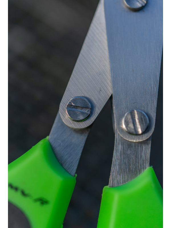 worm scissors 5